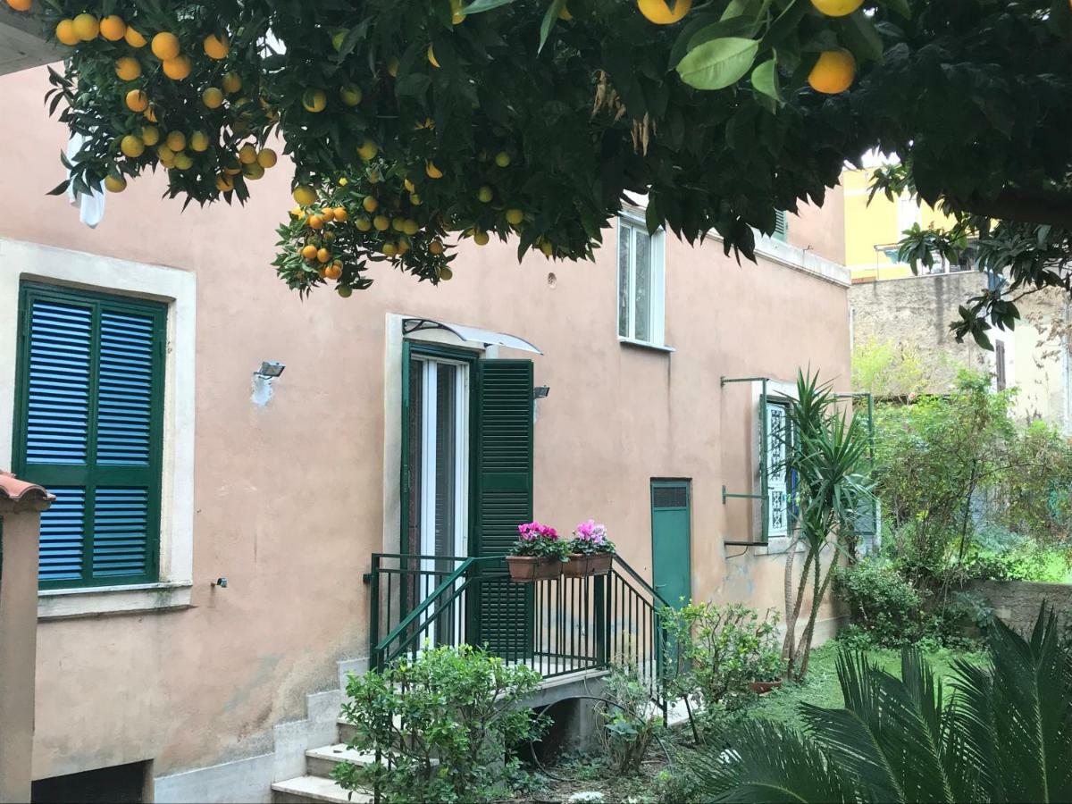 La Casa Del Nespolo Appartement Rome